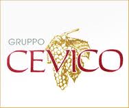 gruppo cevico