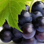 produzione uva Italia