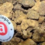 vino tartufo acqualagna