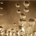 prosecco