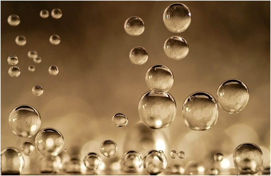 prosecco