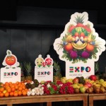 mascotte expo copertina