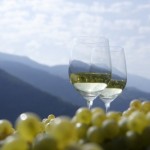 mostra vini