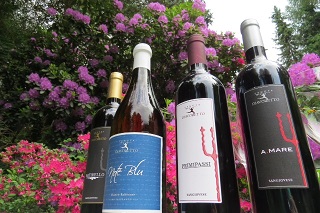 Vini Tenuta Diavoletto