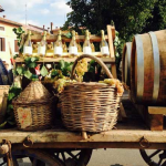 Festa del vino