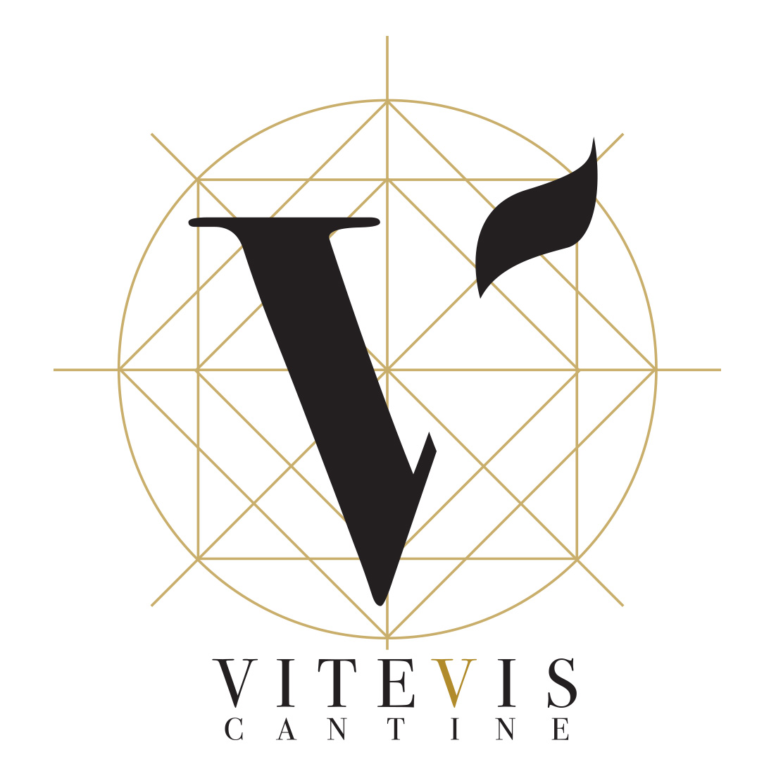 logo Vitevis