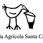 Santa Caterina logo orizzontale