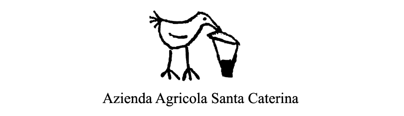 Santa Caterina logo orizzontale