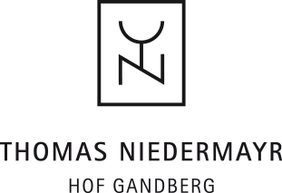Thomas-Niedermayr-Logo