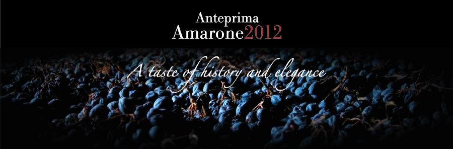anteprima_it_vm