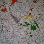 zonazione