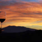 PS Winery cena in vendemmia