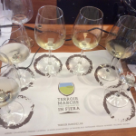 Laboratori Terroir Marche