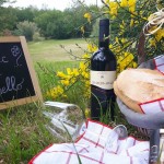 picnic col pennello