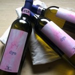 A.Mare collezione Dye