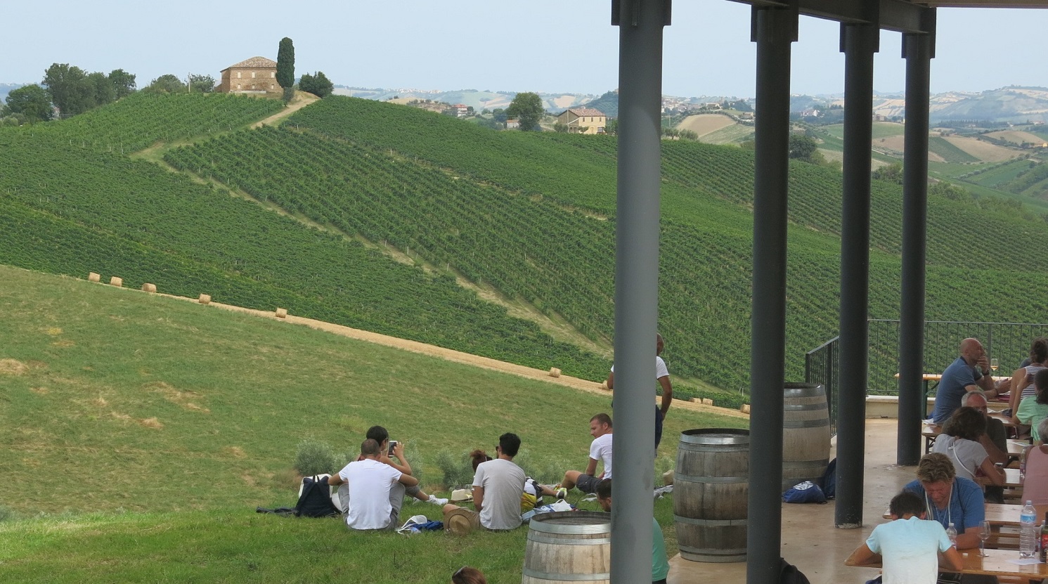 pic nic