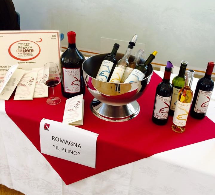 vini Tenuta Il Plino