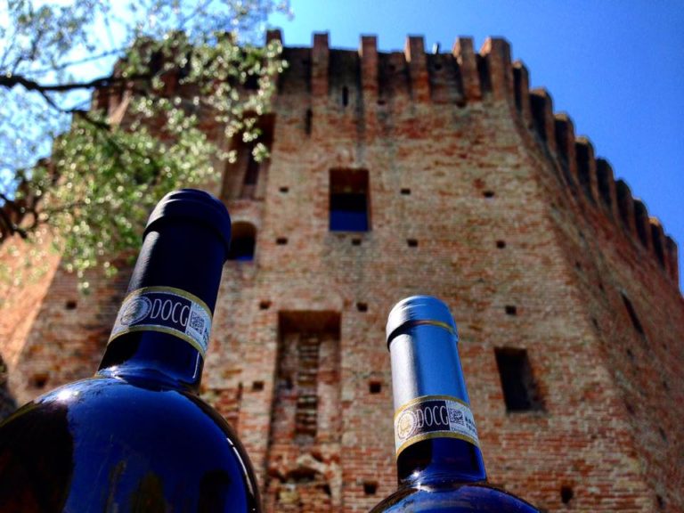 Calici sotto la Torre