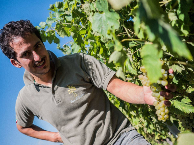 Riccardo Baldi in vigna