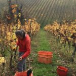 Alessandro Ramilli di Tenuta Il Plino