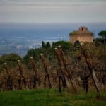 Torre di Oriolo