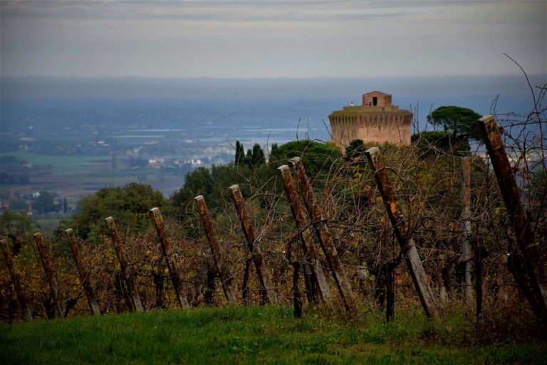 Torre di Oriolo