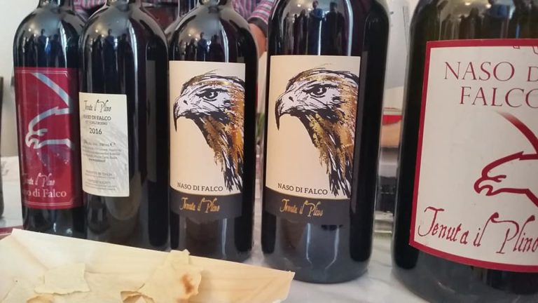 vini Tenuta Il Plino