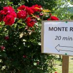 Cantine Aperte a Vigna Cunial 2