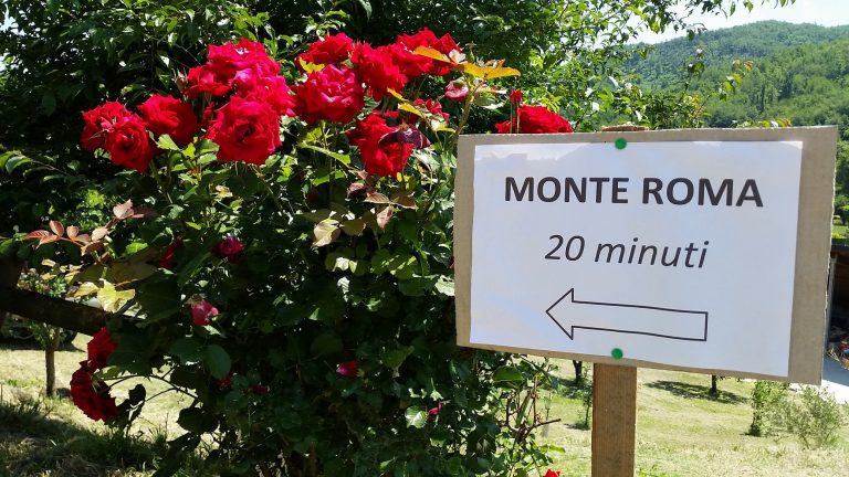 Cantine Aperte a Vigna Cunial 2