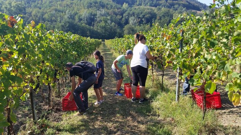 Festa della vendemmia a Vigna Cunial