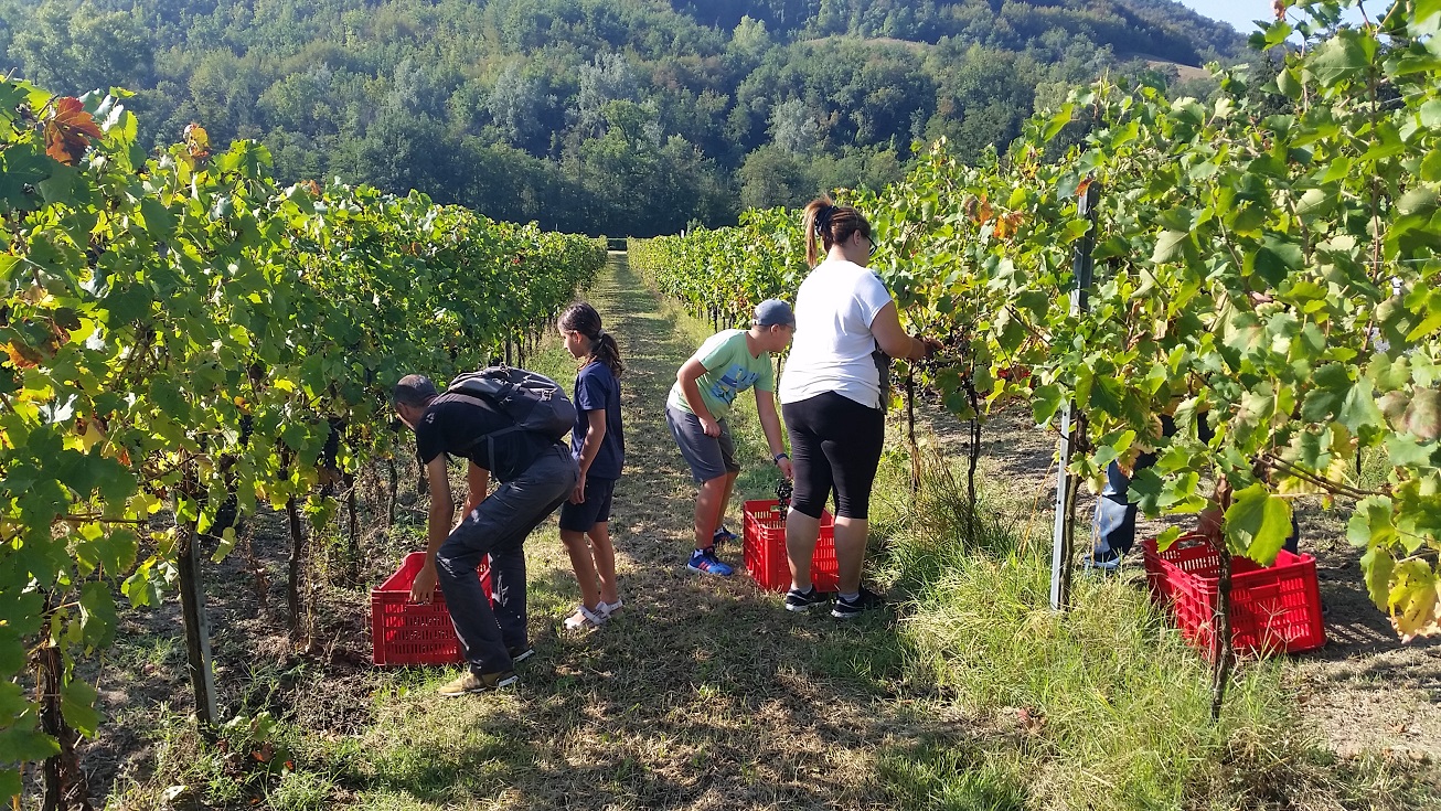 Festa della vendemmia a Vigna Cunial