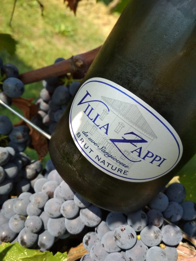Villa Zappi brut nature particolare etichetta