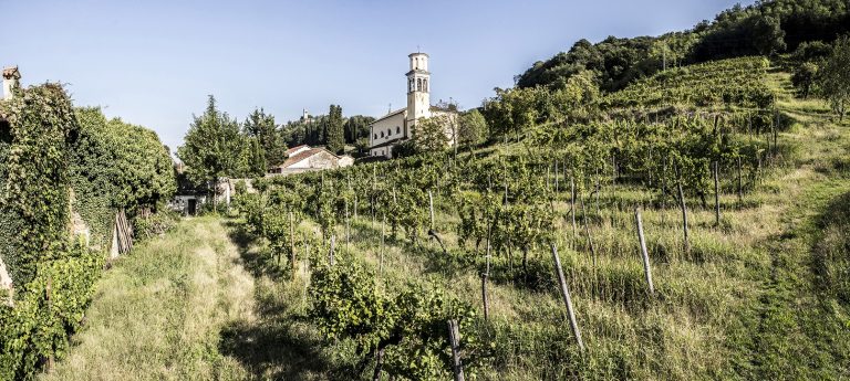 vigna San Lorenzo I Clivi