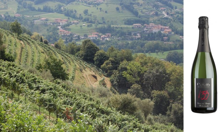 vigneto Colletto
