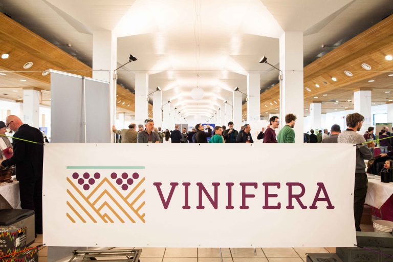 vinifera