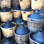 Gara di imbottigliamento Lambrusco Mantovano