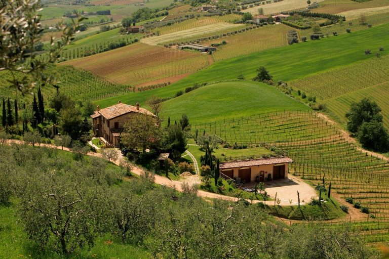azienda fiorano