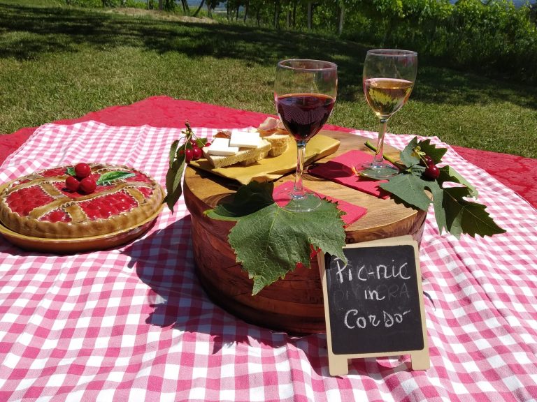 Picnic itinerante sulle colline di Oriolo ok