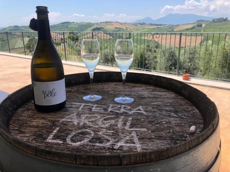 Nuovo spumante di Pecorino Scapolè