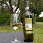 Pecorino Donna Orgilla 2019 premiato