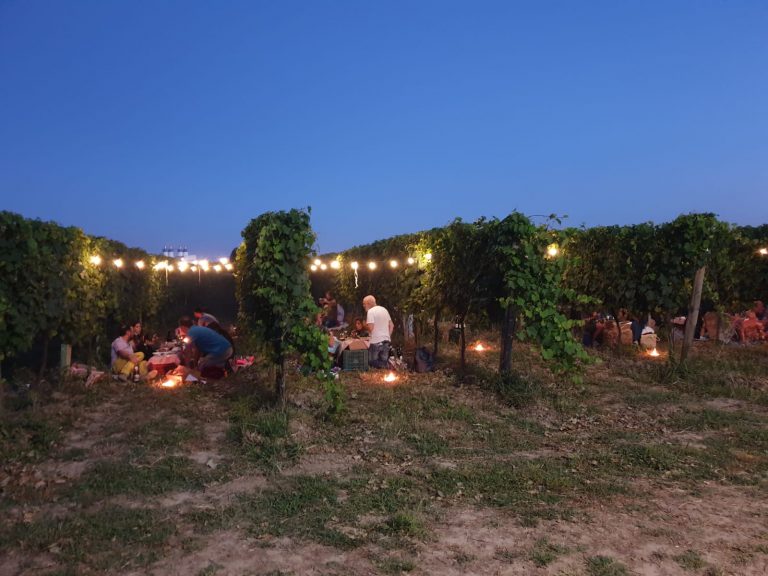 non è il solito picnic