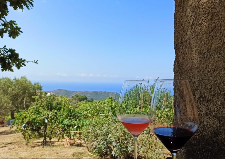 Vista Palinuro da Fattoria Albamarina