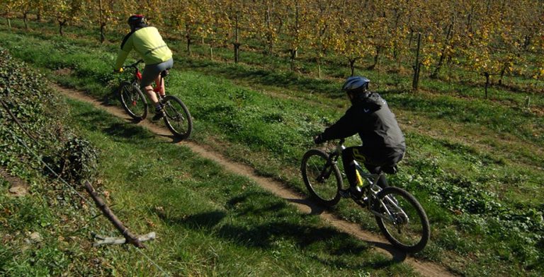enoturismo_itinerarisport
