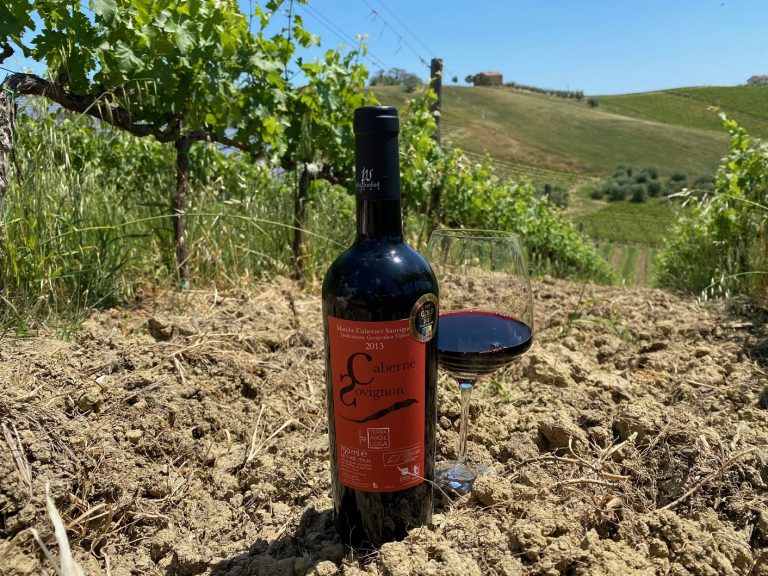 Cabernet sauvignon primo posto assoluto