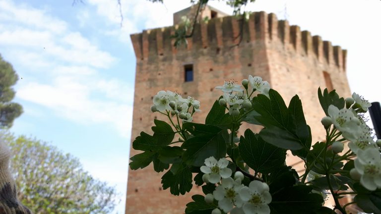 Torre di Oriolo dei Fichi