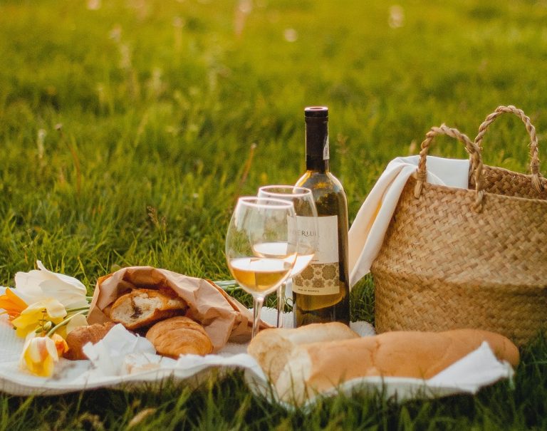 picnic itinerante 2021