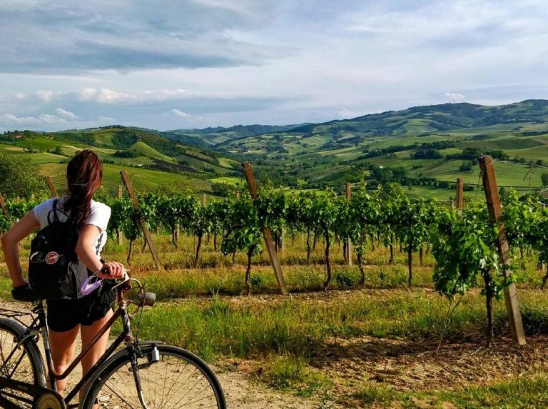 In bici tra le vigne