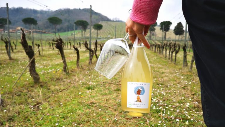 Famoso Pèt Nat in vigna