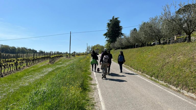 Partecipanti a Di Torre in Torre