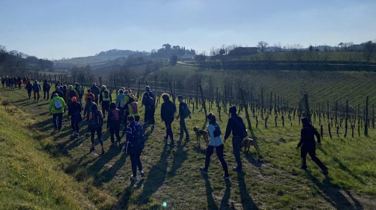 Wine-trekking-a-Oriolo-dei-Fichi